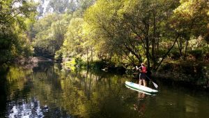paddle