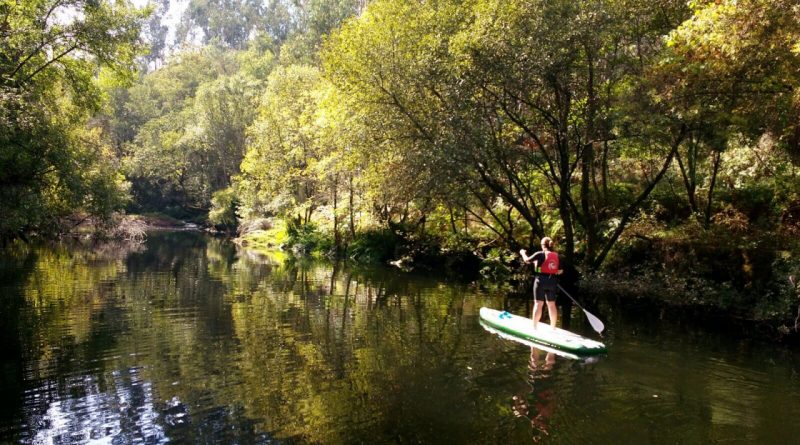 paddle