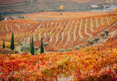 Vintage House Hotel: